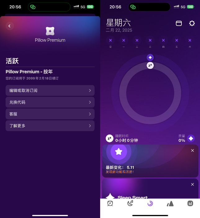 Pillow 5.11 睡眠周期跟踪器插图